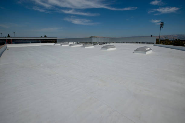 Best Emergency Roof Repair Services  in Hilbert, WI